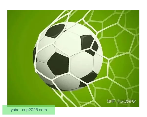 世界杯投注指南揭秘最全投注策略助你精准预测赛事结果